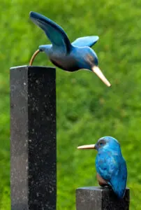 ijsvogels